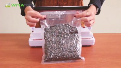 memilih vacuum sealer