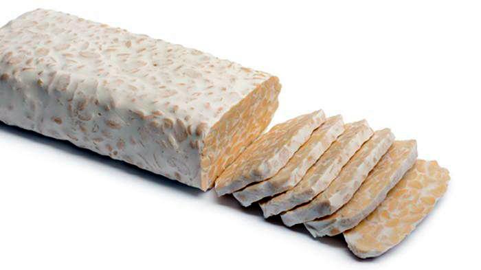 peluang bisnis tempe