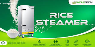 Best rice steamer for small families Wira