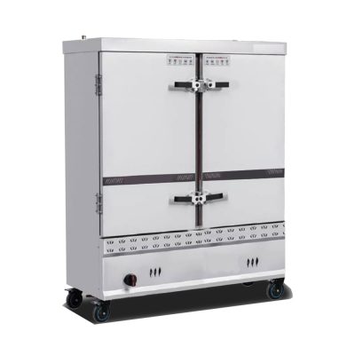 best rice steamer for small families X